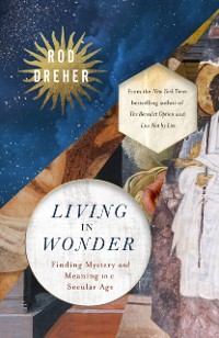 Cover Living in Wonder