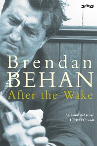 Cover After The Wake