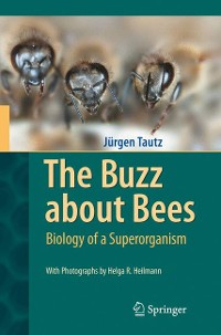 Cover The Buzz about Bees
