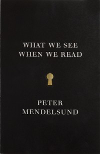 Cover What We See When We Read