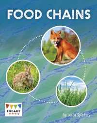 Cover Food Chains