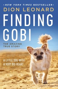 Cover Finding Gobi