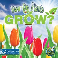 Cover How Do Plants Grow?
