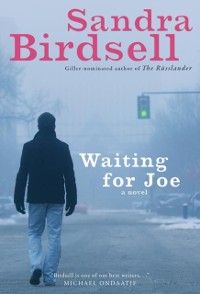 Cover Waiting for Joe