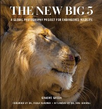 Cover New Big 5