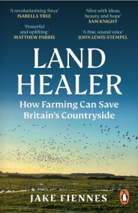 Cover Land Healer