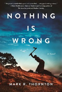 Cover Nothing Is Wrong