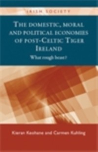 Cover domestic, moral and political economies of post-Celtic Tiger Ireland