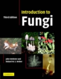 Cover Introduction to Fungi