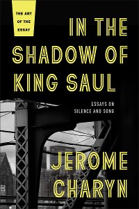 Cover In the Shadow of King Saul