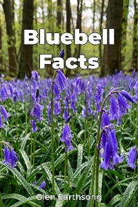 Cover Bluebell Facts