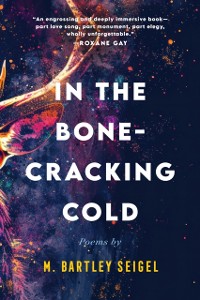 Cover In the Bone-Cracking Cold