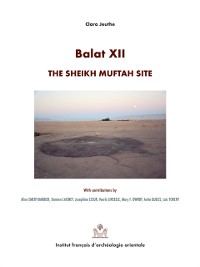 Cover Balat XII