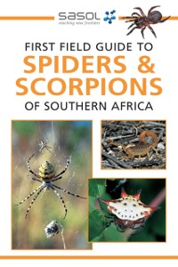 Cover Sasol First Field Guide to Spiders & Scorpions of Southern Africa