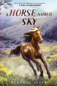 Cover Horse Named Sky