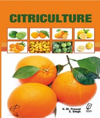 Cover Citriculture
