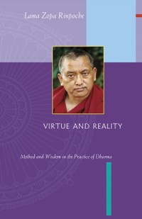 Cover Virtue and Reality: Method and Wisdom in the Practice of Dharma