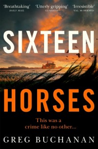 Cover Sixteen Horses