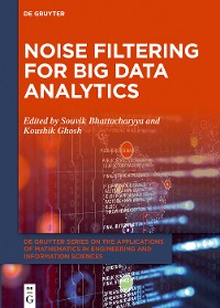 Cover Noise Filtering for Big Data Analytics