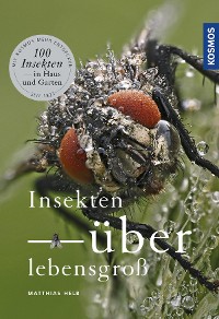 Cover Insekten überlebensgroß