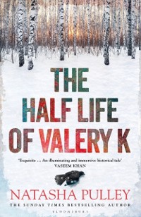 Cover Half Life of Valery K