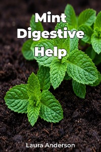 Cover Mint Digestive Help