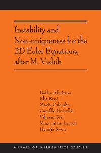 Cover Instability and Non-uniqueness for the 2D Euler Equations, after M. Vishik