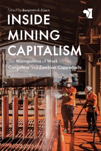Cover Inside Mining Capitalism