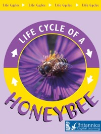 Cover Honeybee