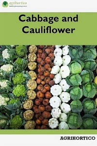 Cover Cabbage and Cauliflower