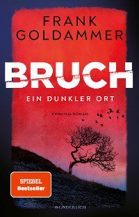 Cover Bruch: Ein dunkler Ort