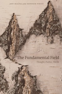 Cover Fundamental Field