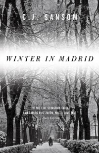 Cover Winter in Madrid