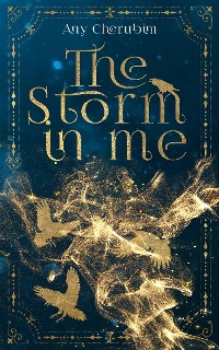 Cover The Storm In Me