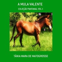 Cover A Mula Valente