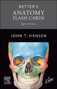 Cover Netter's Anatomy Flash Cards - E-Book