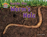 Cover Inside the Worm's Hole