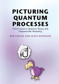 Cover Picturing Quantum Processes