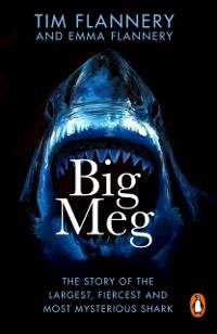 Cover Big Meg