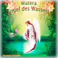 Cover Engel des Wassers