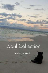Cover Soul Collection