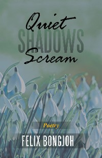 Cover Quiet Shadows Scream