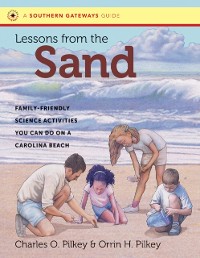 Cover Lessons from the Sand
