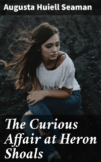 Cover The Curious Affair at Heron Shoals