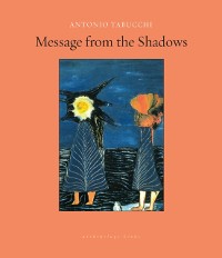 Cover Message from the Shadows