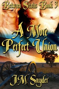Cover More Perfect Union