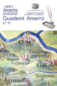 Cover Quaderni Amerini n°11