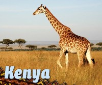 Cover Kenya