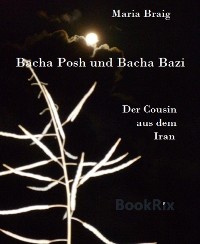 Cover Bacha Posh und Bacha Bazi