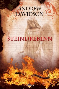 Cover Steindrekinn